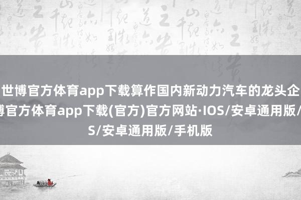 世博官方体育app下载算作国内新动力汽车的龙头企业-世博官方体育app下载(官方)官方网站·IOS/安卓通用版/手机版