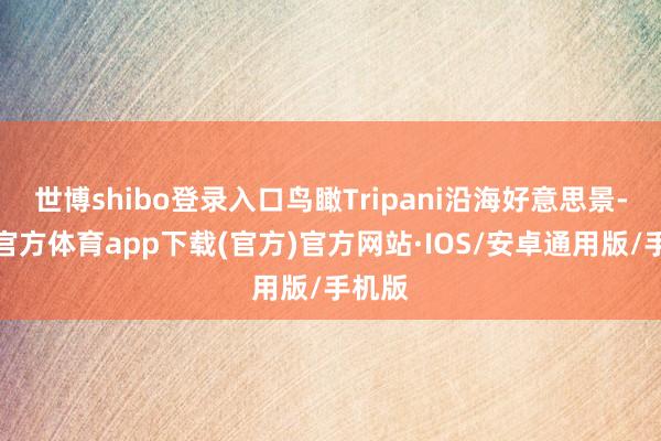 世博shibo登录入口鸟瞰Tripani沿海好意思景-世博官方体育app下载(官方)官方网站·IOS/安卓通用版/手机版