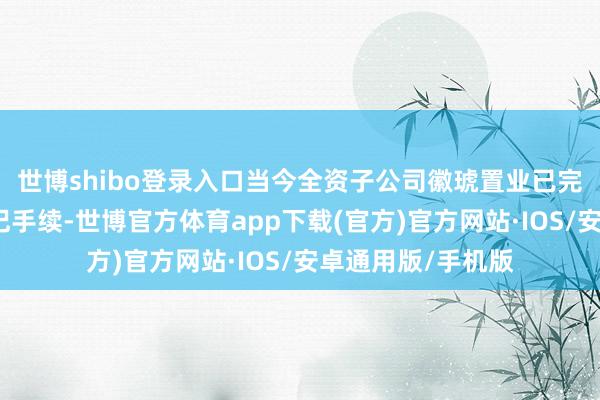 世博shibo登录入口当今全资子公司徽琥置业已完成了工商注册登记手续-世博官方体育app下载(官方)官方网站·IOS/安卓通用版/手机版