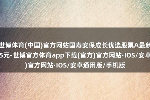 世博体育(中国)官方网站国寿安保成长优选股票A最新单元净值为1.05元-世博官方体育app下载(官方)官方网站·IOS/安卓通用版/手机版