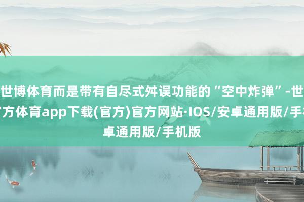 世博体育而是带有自尽式舛误功能的“空中炸弹”-世博官方体育app下载(官方)官方网站·IOS/安卓通用版/手机版