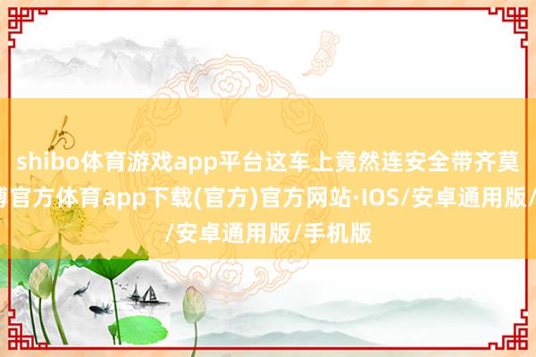 shibo体育游戏app平台这车上竟然连安全带齐莫得-世博官方体育app下载(官方)官方网站·IOS/安卓通用版/手机版