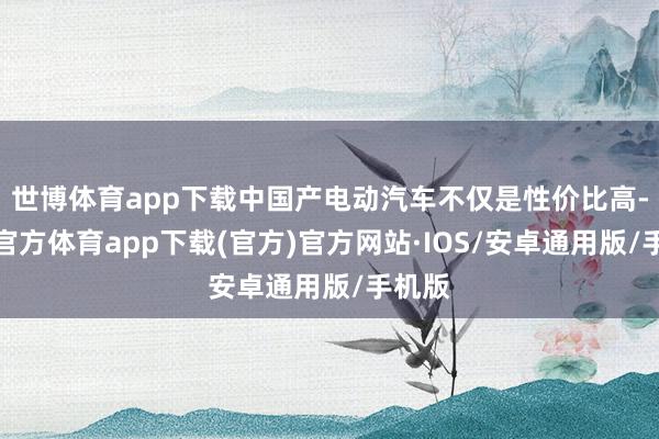 世博体育app下载中国产电动汽车不仅是性价比高-世博官方体育app下载(官方)官方网站·IOS/安卓通用版/手机版