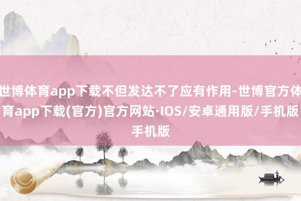 世博体育app下载不但发达不了应有作用-世博官方体育app下载(官方)官方网站·IOS/安卓通用版/手机版