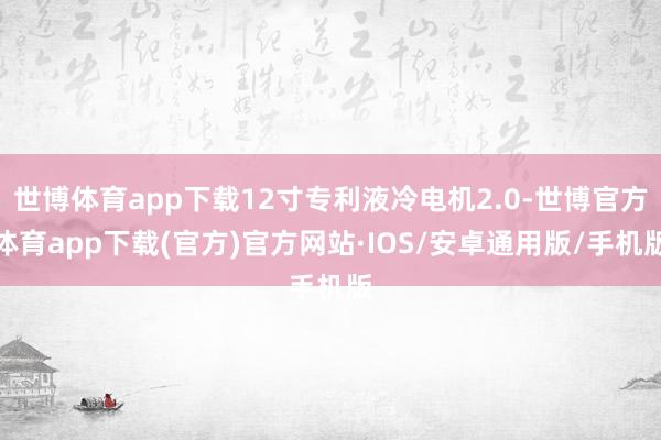 世博体育app下载12寸专利液冷电机2.0-世博官方体育app下载(官方)官方网站·IOS/安卓通用版/手机版