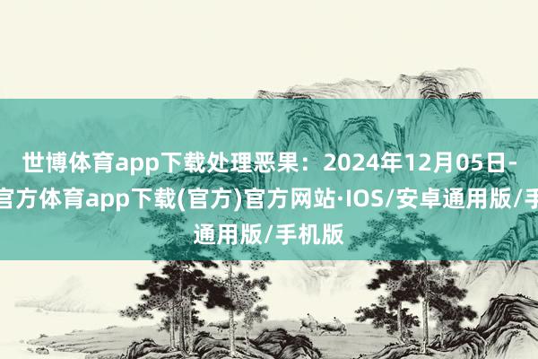 世博体育app下载处理恶果：2024年12月05日-世博官方体育app下载(官方)官方网站·IOS/安卓通用版/手机版