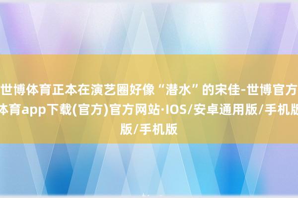 世博体育正本在演艺圈好像“潜水”的宋佳-世博官方体育app下载(官方)官方网站·IOS/安卓通用版/手机版