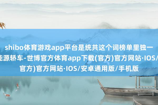 shibo体育游戏app平台是统共这个词榜单里独一上榜的好意思系新能源轿车-世博官方体育app下载(官方)官方网站·IOS/安卓通用版/手机版