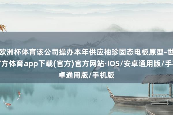 欧洲杯体育该公司操办本年供应袖珍固态电板原型-世博官方体育app下载(官方)官方网站·IOS/安卓通用版/手机版